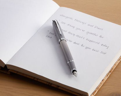 Parker IM Writing Rituals Grey CT Fountain Pen